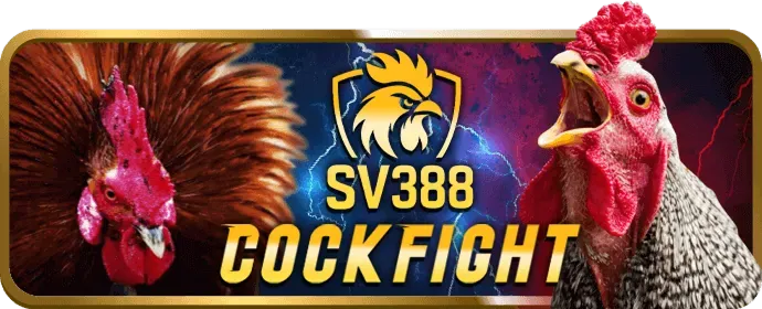 Điền thông tin đăng ký new88bi win
