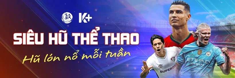 Đa dạng các môn thể thao và kèo cược tại new88bi win